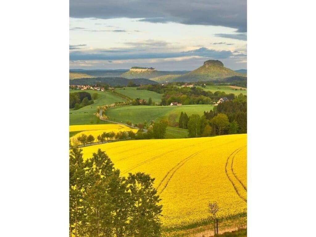 Apartment On The Edge Of Town Comfortable Vacation Bad Schandau
