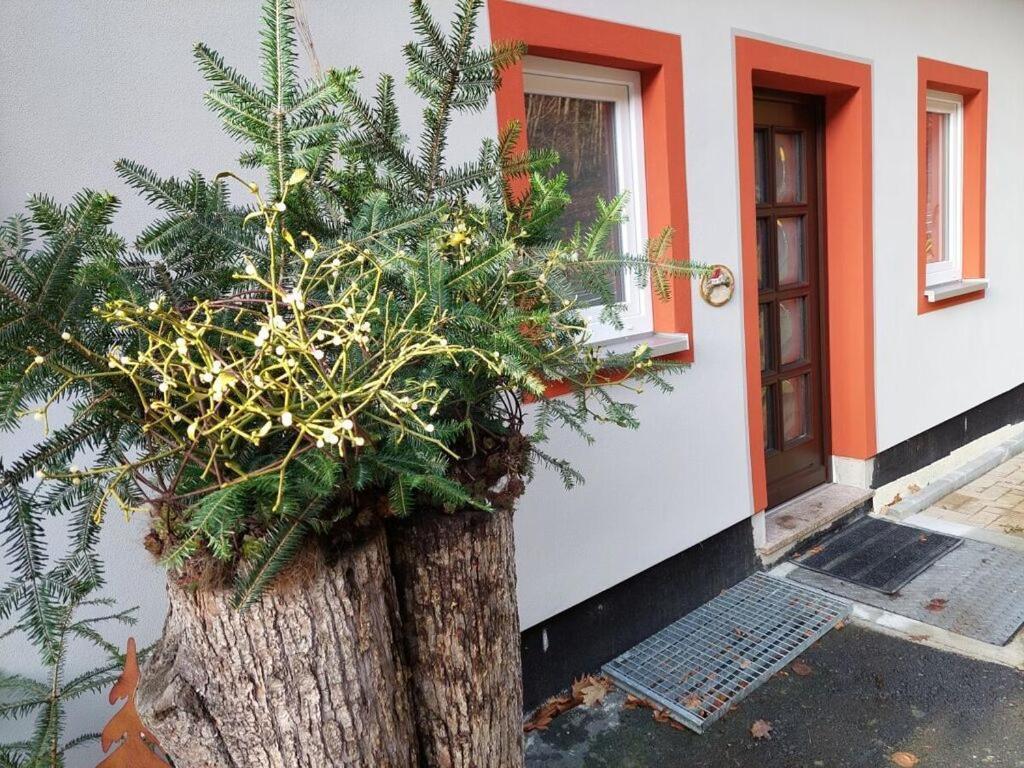 Apartment On The Edge Of Town Comfortable Vacation *